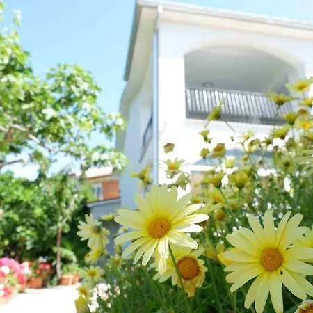 Ponos Lägenhet Krk Town