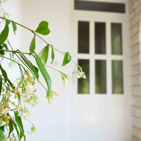 Ponos アパート クルク